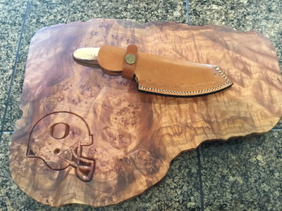 The Bison Skinning Knife